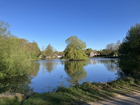 Falmer Pond, Falmer Conservation Area