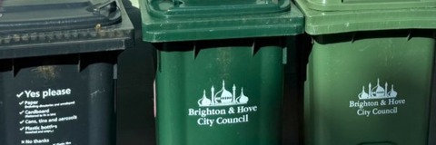 Picture of three wheelie bins