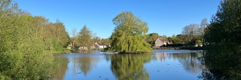 Falmer Pond, Falmer Conservation Area