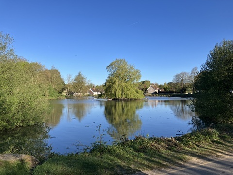 Falmer Pond, Falmer Conservation Area