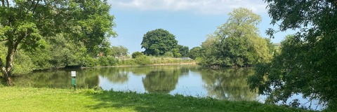 Summer view of Falmer Pond looking south