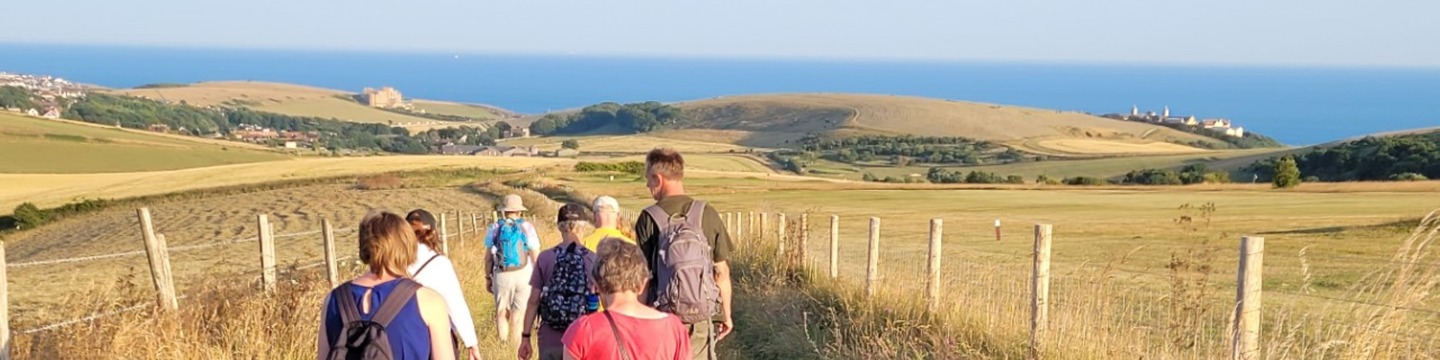 A group of people walking through a park. 