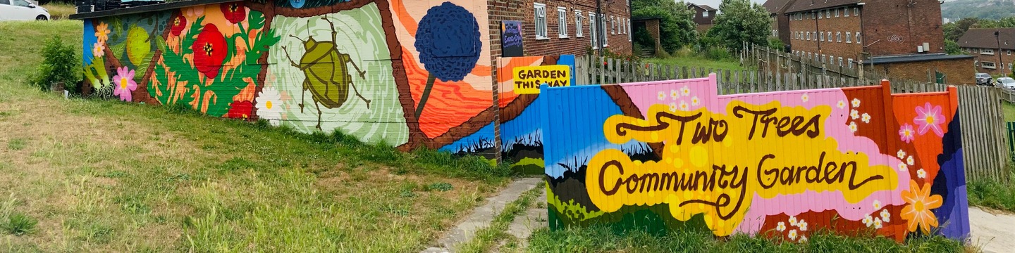 Photo of Hollingdean mural