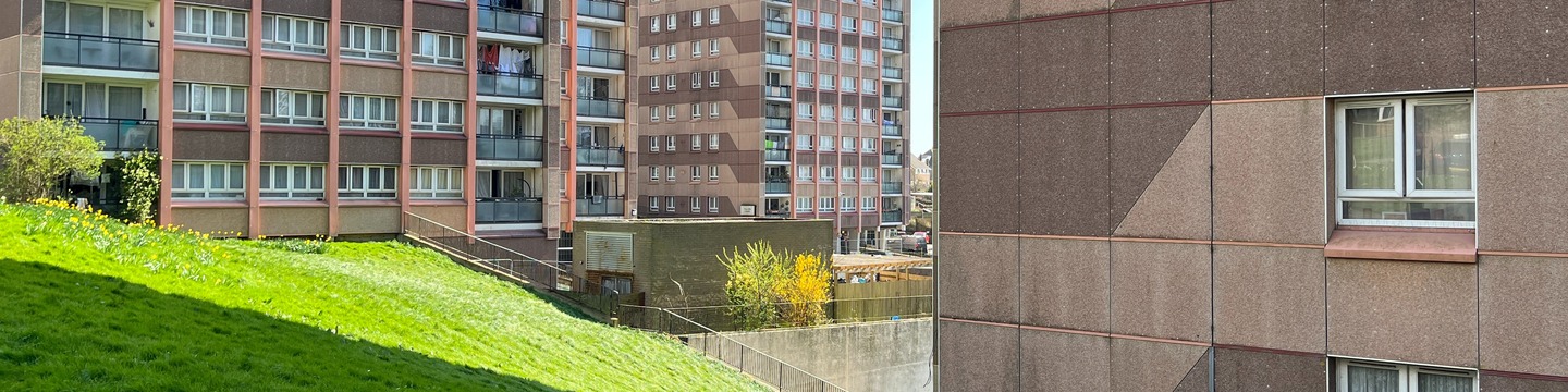 A photograph of the council estate blocks in Whitehawk on a sunny day.