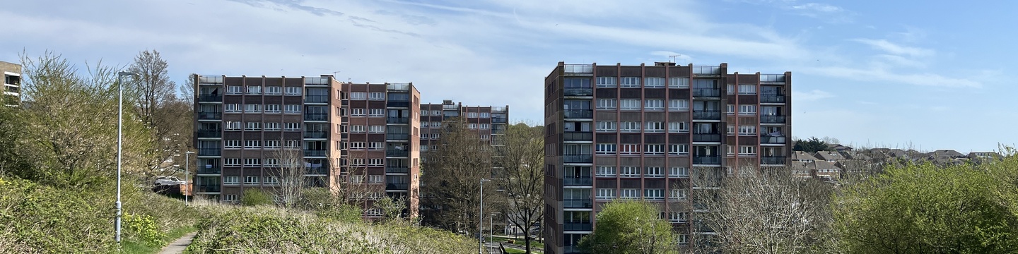 Whitehawk hill bird blocks with greenery
