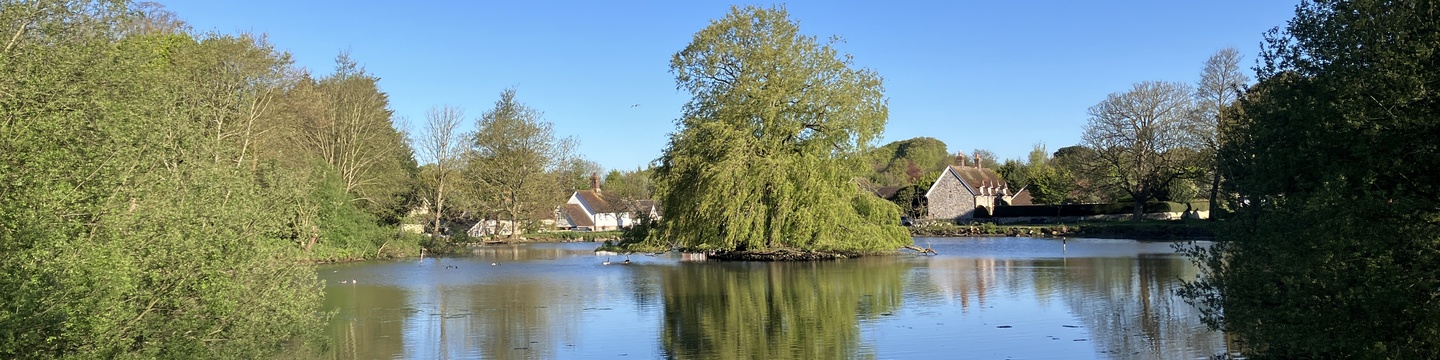 Falmer Pond, Falmer Conservation Area, looking North to the village.
