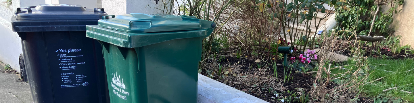 Two wheelie bins on a pavement outside a house: a black recycling bin with guidance text on the front and a green garden waste bin, with plants and a small garden beside them