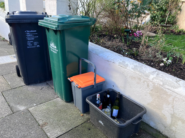Two wheelie bins on a pavement outside a house: a black recycling bin with guidance text on the front and a green garden waste bin, with plants and a small garden beside them