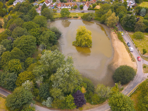 Aerial view of Falmer Pond July 2025 courtesy of Sam Moore, Visual Air