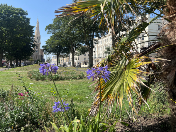 View of Palmeira Square, with flowers and lawn